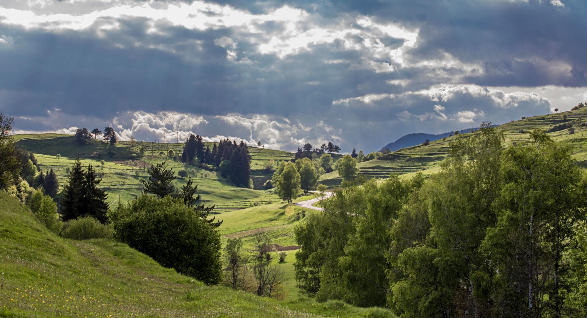 RHODOPE EXPLORER — riding the Rhodope Mountains